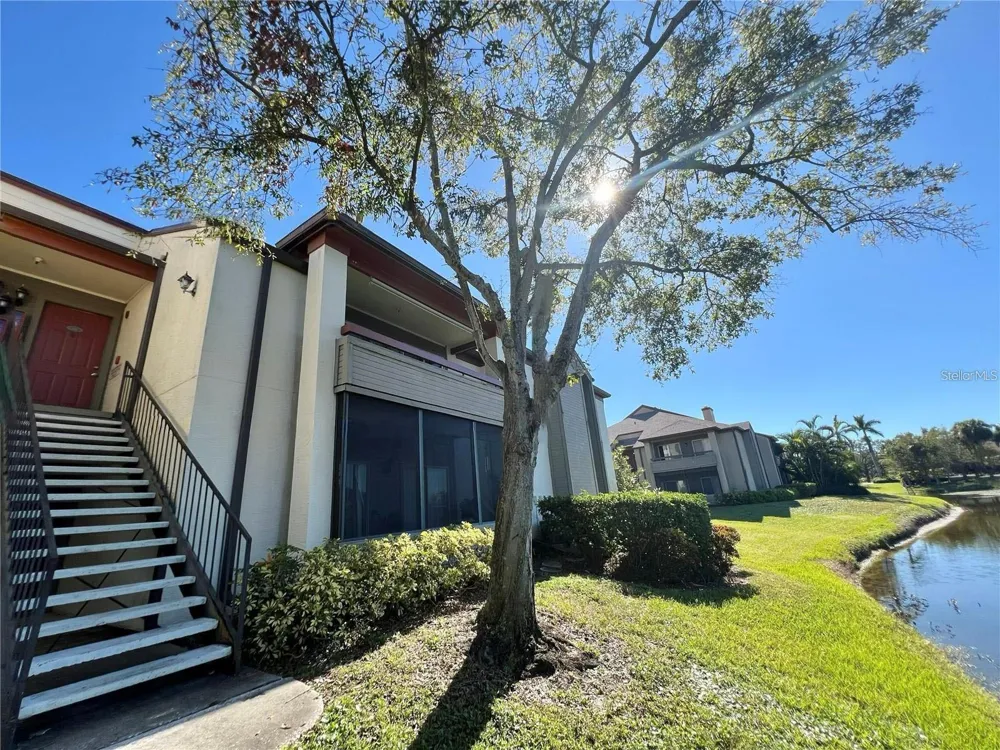 10263 GANDY BOULEVARD #311 St Petersburg, FL 33702