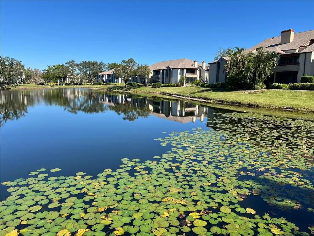 10263 GANDY BOULEVARD #311 St Petersburg, FL 33702
