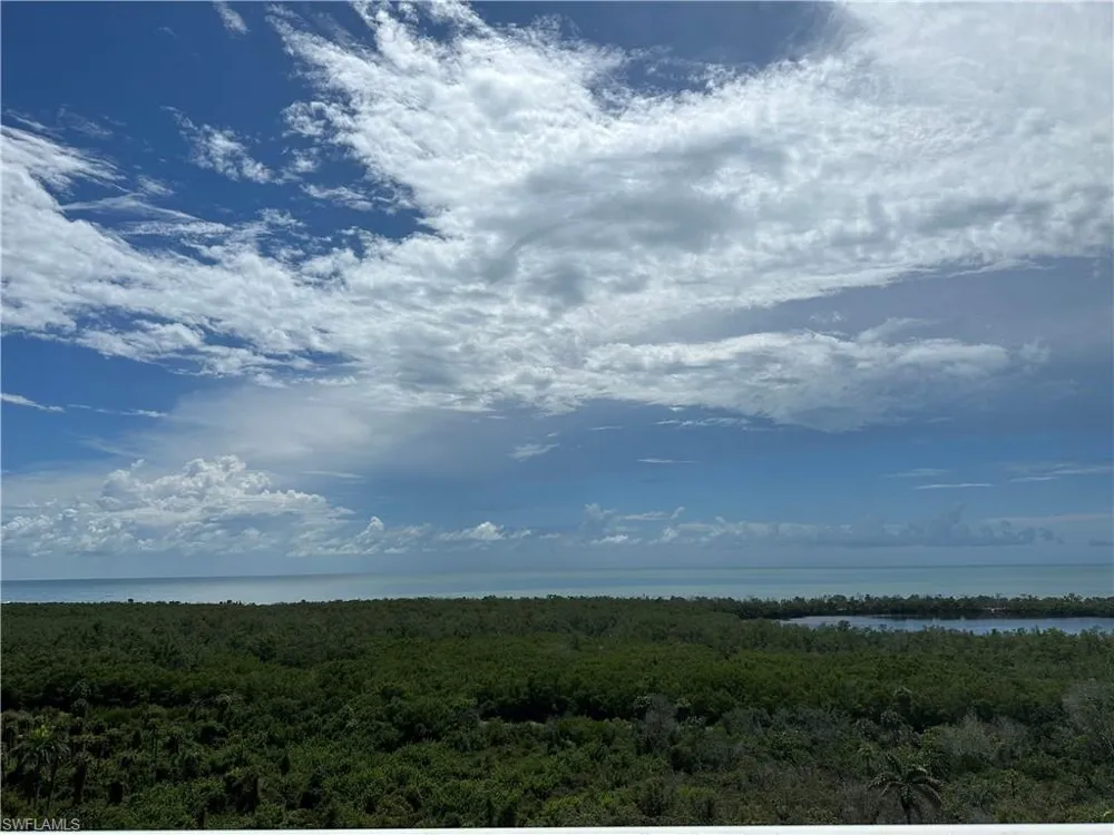 6585 Nicholas Boulevard #1105 Naples, FL 34108