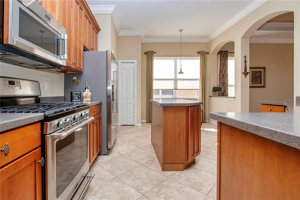 446 NOBLE FAIRE DRIVE Sun City Center, FL 33573