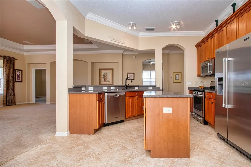 446 NOBLE FAIRE DRIVE Sun City Center, FL 33573