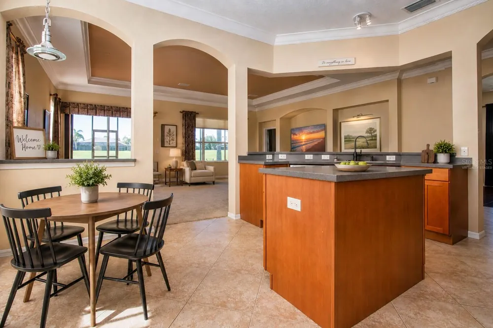 446 NOBLE FAIRE DRIVE Sun City Center, FL 33573
