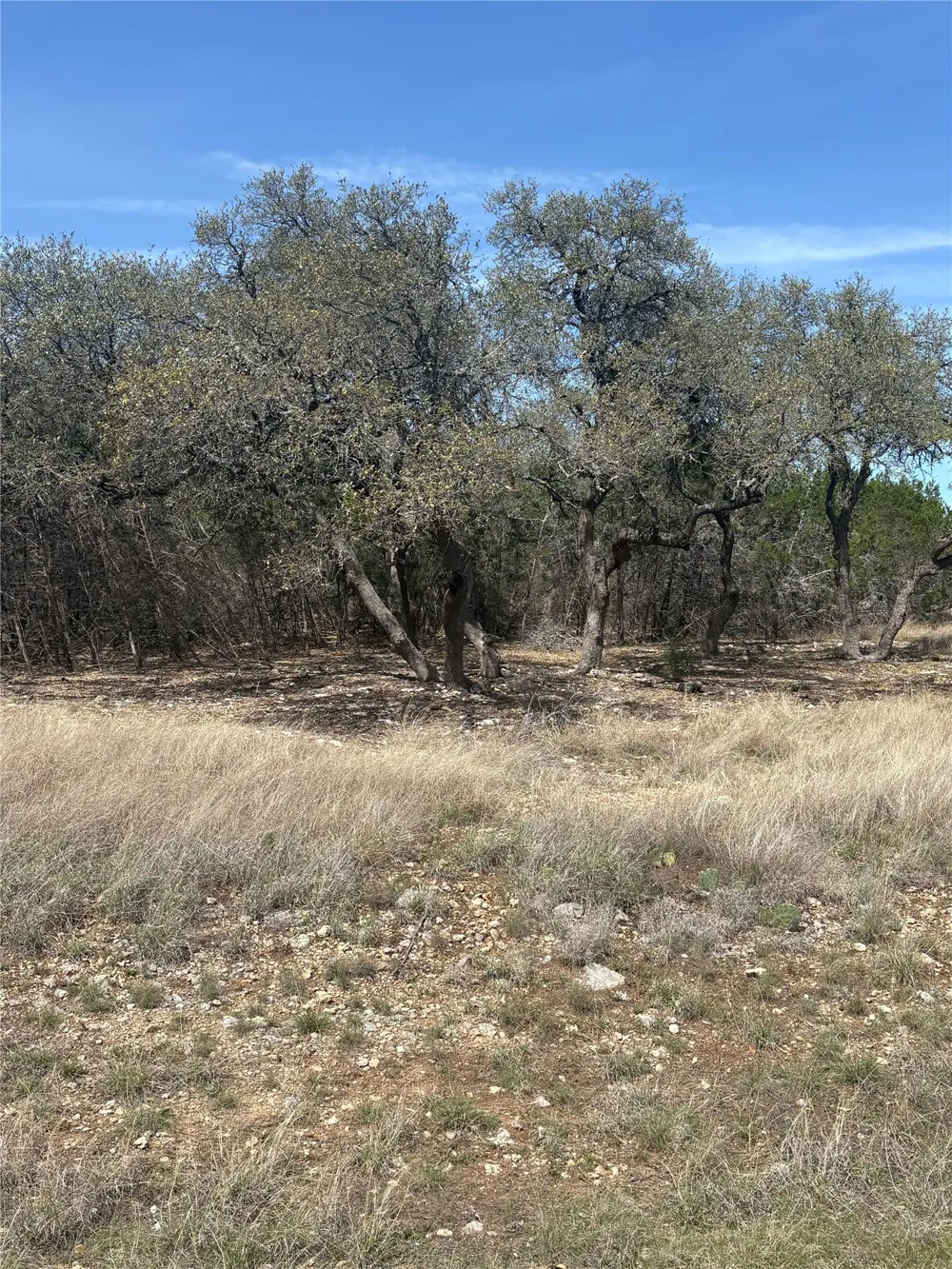 304 Stonegate Lane Dripping Springs, TX 78620