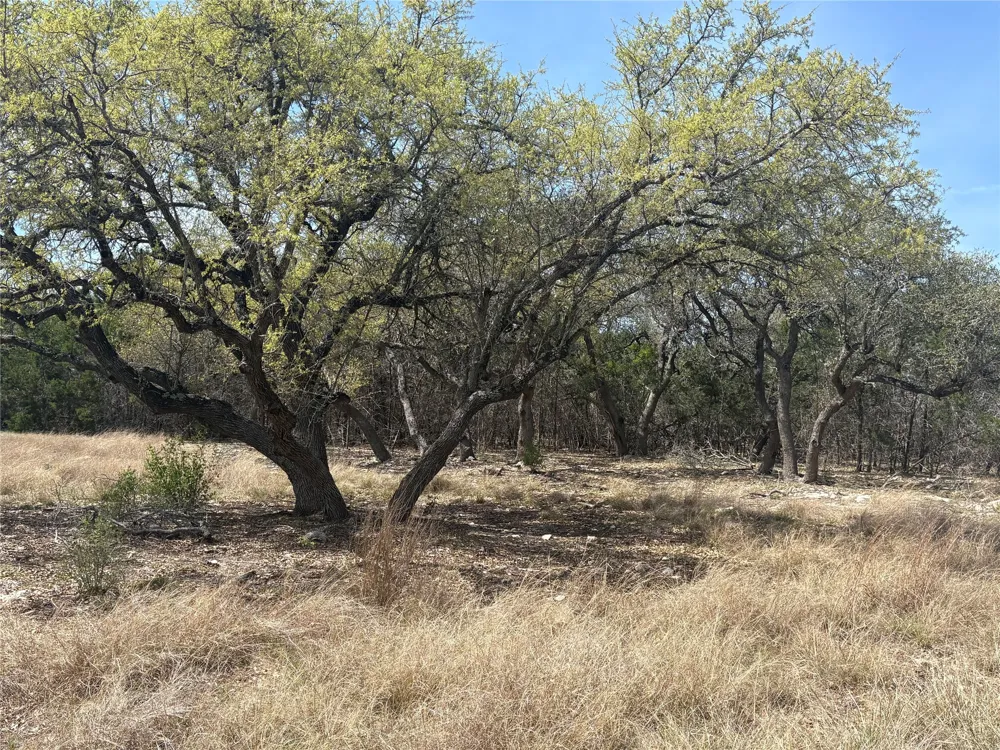 304 Stonegate Lane Dripping Springs, TX 78620