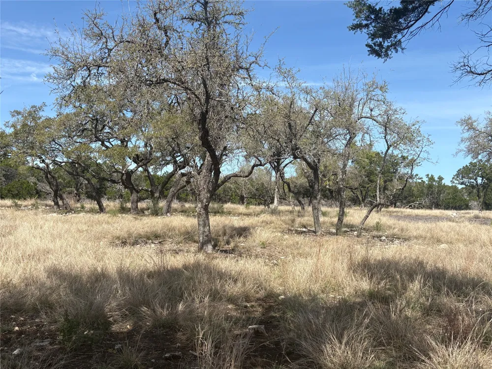 304 Stonegate Lane Dripping Springs, TX 78620