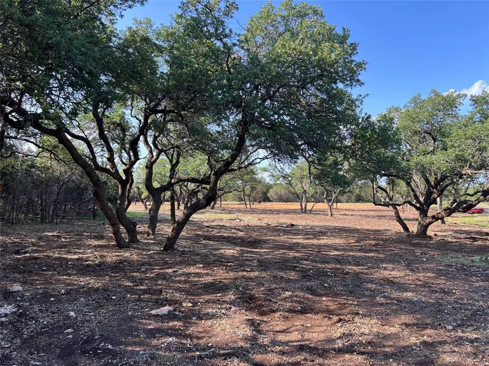 304 Stonegate Lane Dripping Springs, TX 78620