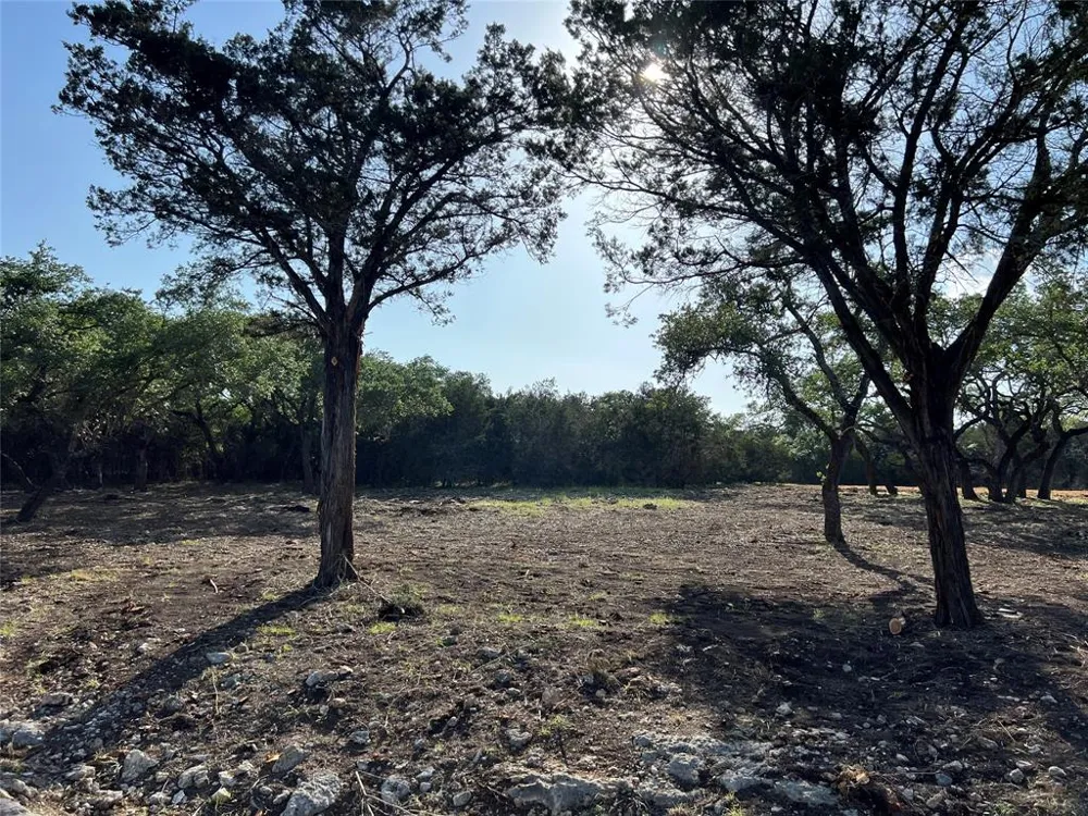 304 Stonegate Lane Dripping Springs, TX 78620