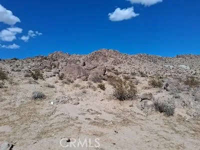 2959 Pinto Mountain Rd 29 Palms, CA 92277