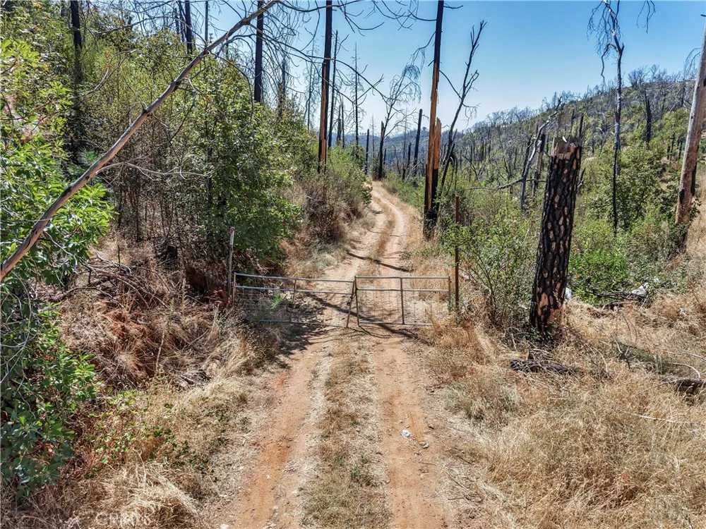 101 Handkirk Lane Berry Creek, CA 95916