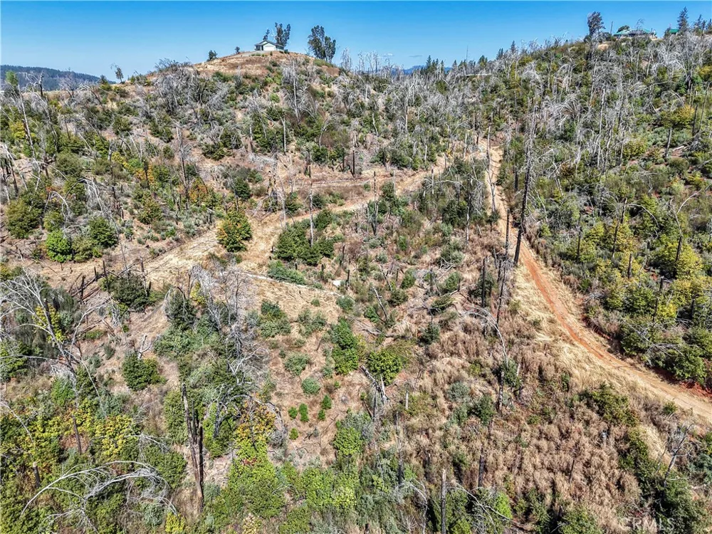 101 Handkirk Lane Berry Creek, CA 95916