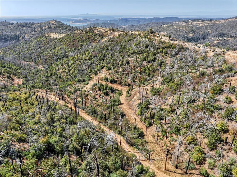 101 Handkirk Lane Berry Creek, CA 95916