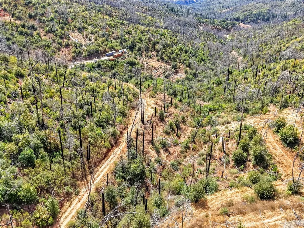 101 Handkirk Lane Berry Creek, CA 95916