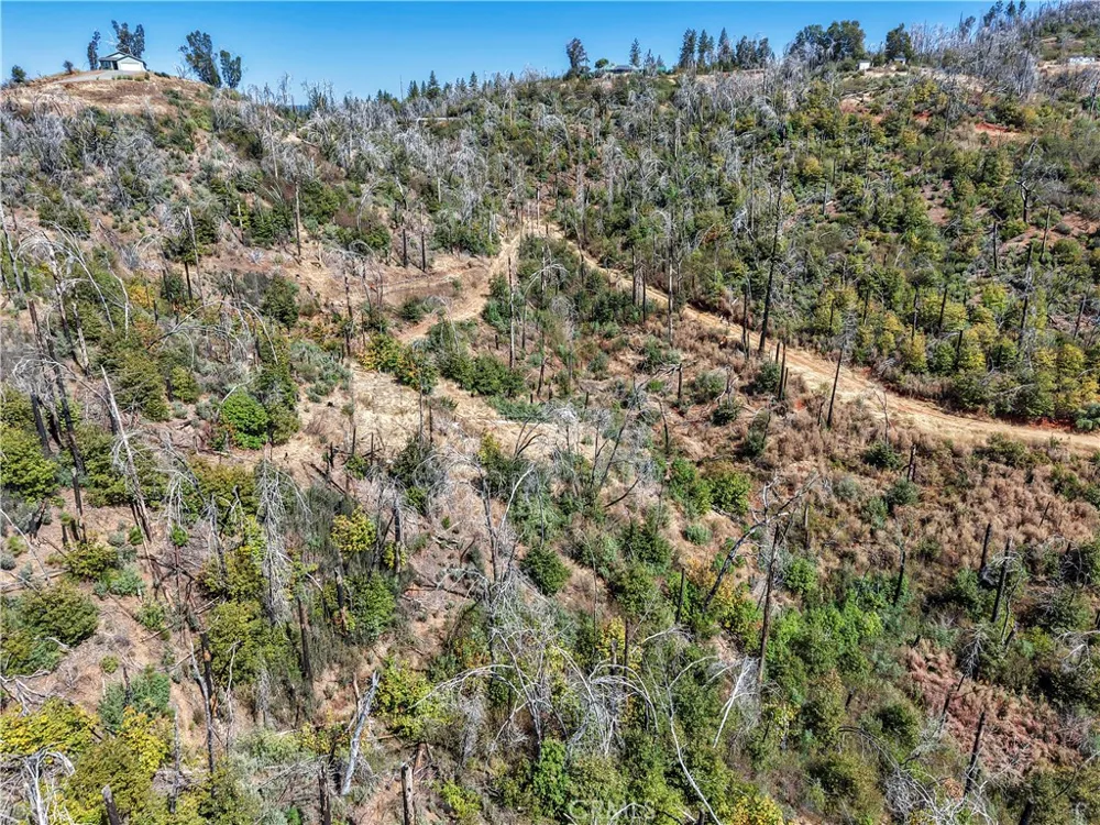 101 Handkirk Lane Berry Creek, CA 95916
