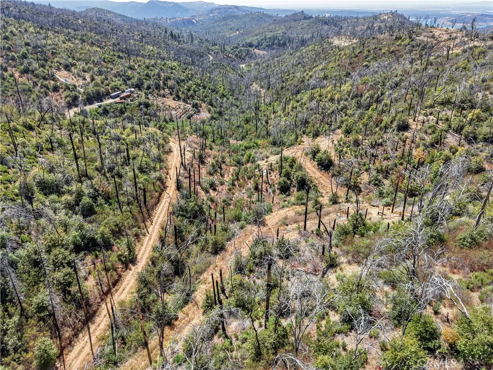 101 Handkirk Lane Berry Creek, CA 95916