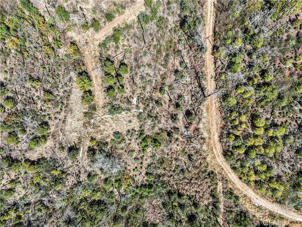 101 Handkirk Lane Berry Creek, CA 95916