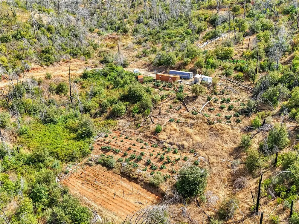 101 Handkirk Lane Berry Creek, CA 95916