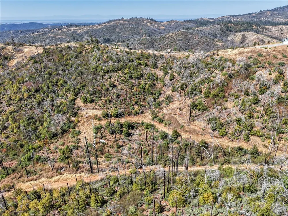 101 Handkirk Lane Berry Creek, CA 95916