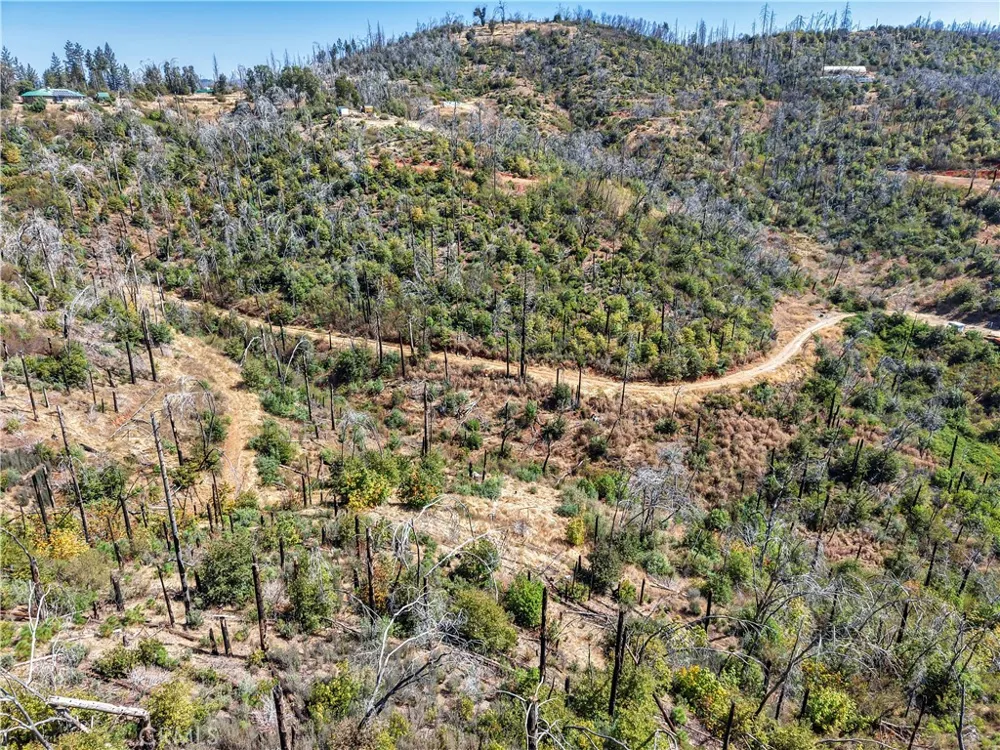 101 Handkirk Lane Berry Creek, CA 95916