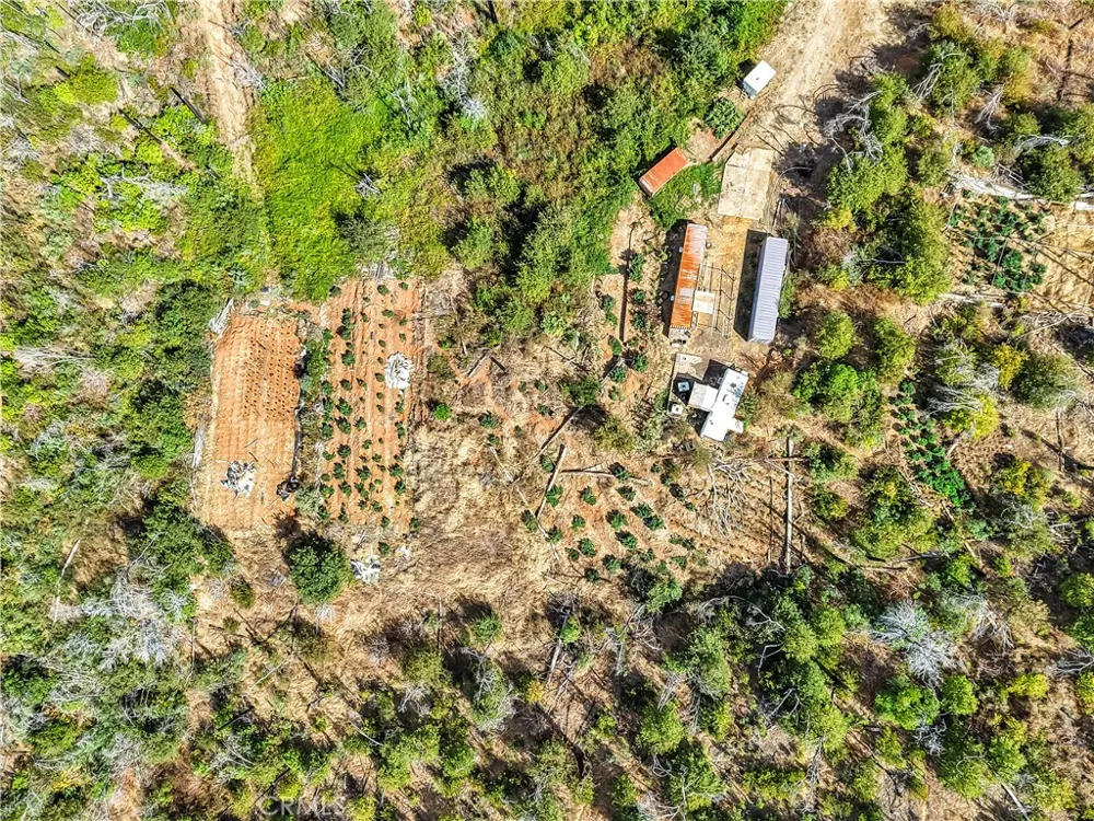 101 Handkirk Lane Berry Creek, CA 95916