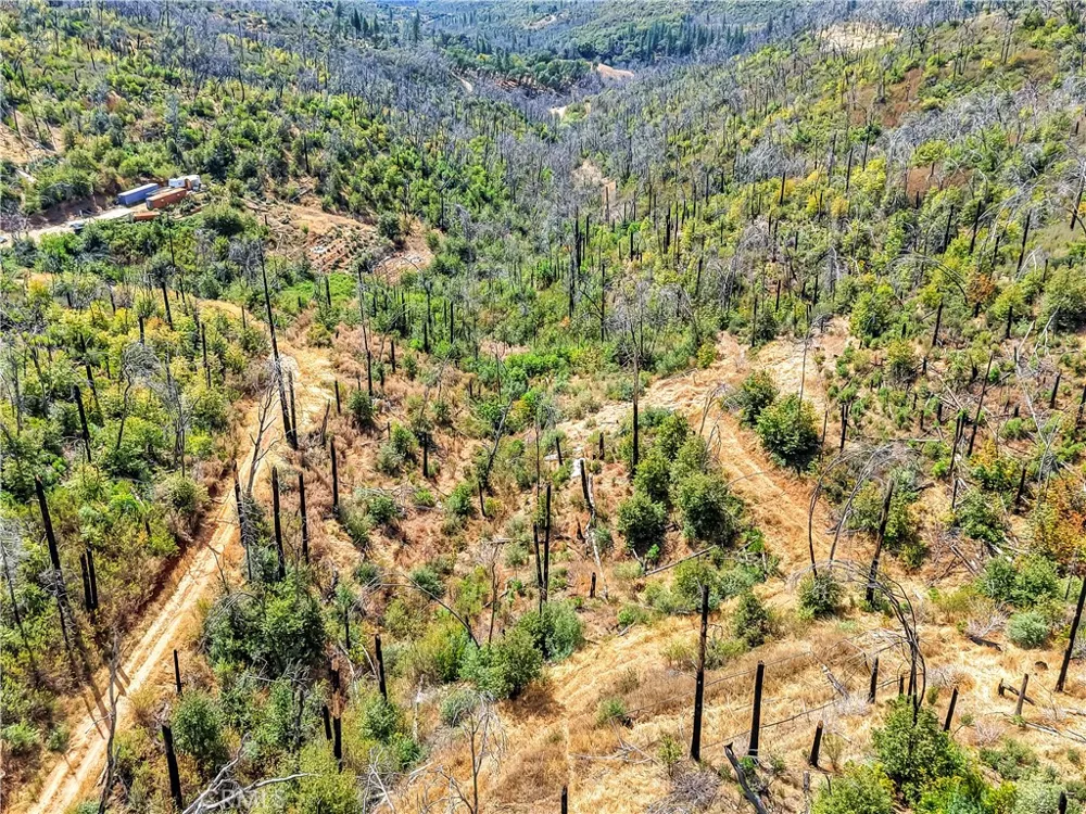 101 Handkirk Lane Berry Creek, CA 95916