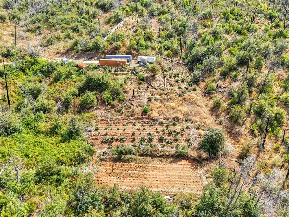 101 Handkirk Lane Berry Creek, CA 95916