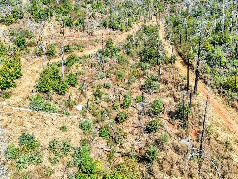 101 Handkirk Lane Berry Creek, CA 95916