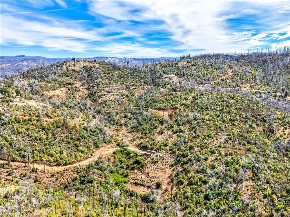 101 Handkirk Lane Berry Creek, CA 95916