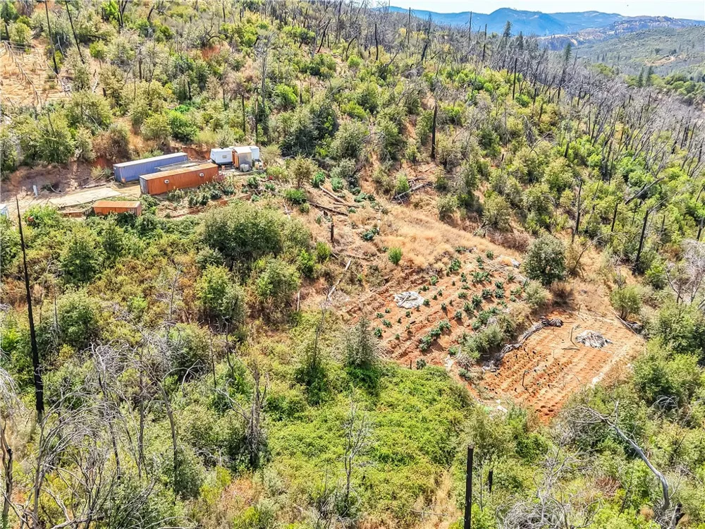 101 Handkirk Lane Berry Creek, CA 95916
