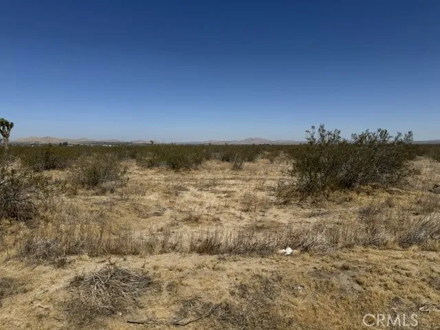 17700 E Ave T8 Palmdale, CA 93591