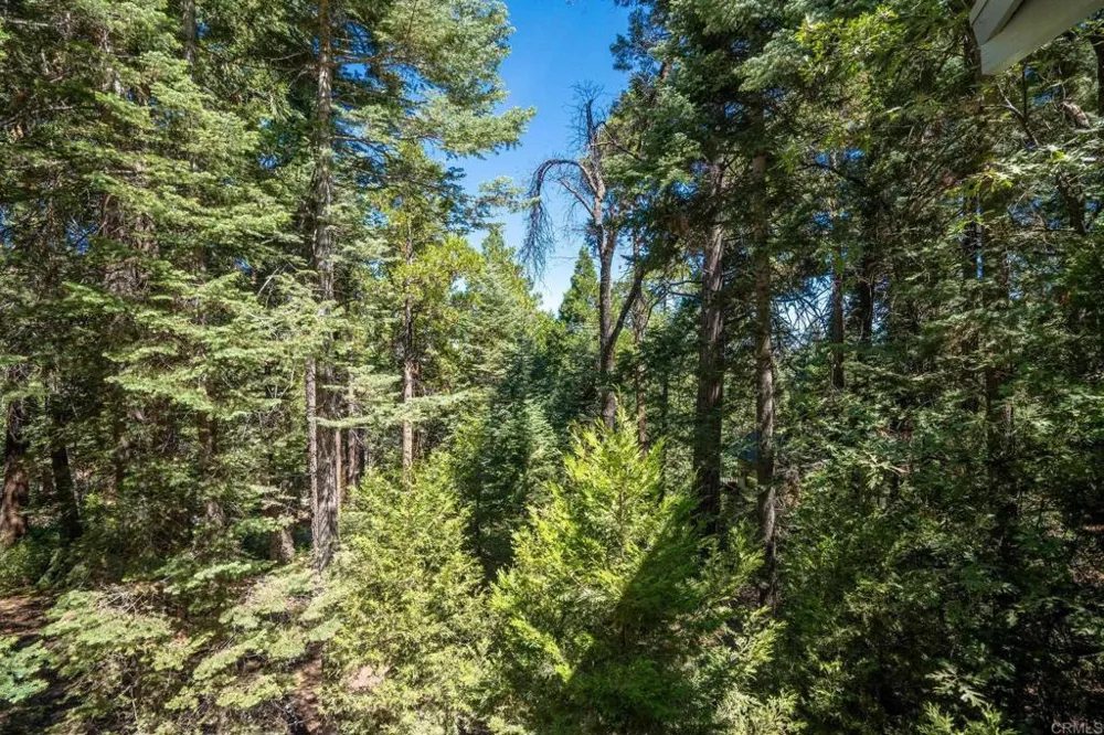 32753 Birch Hill Road Palomar Mountain, CA 92060