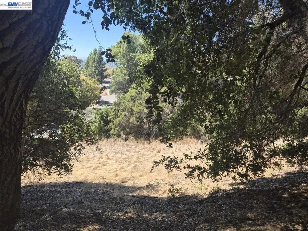 Garin Ave Hayward, CA 94544
