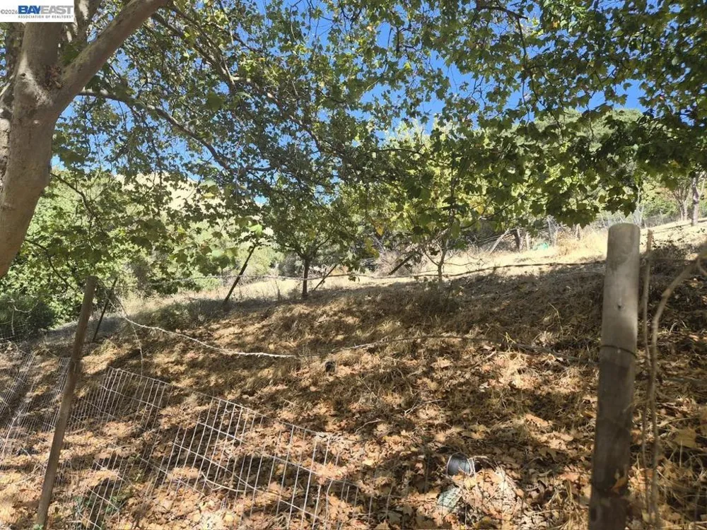 Garin Ave Hayward, CA 94544