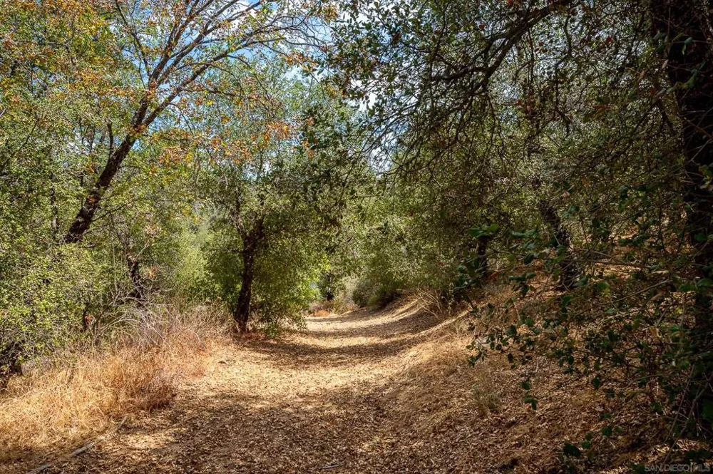 3525 Deer Lake Park Rd Julian, CA 92036