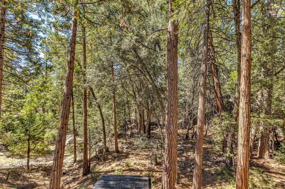 53370 Rising Glen Road Idyllwild, CA 92549