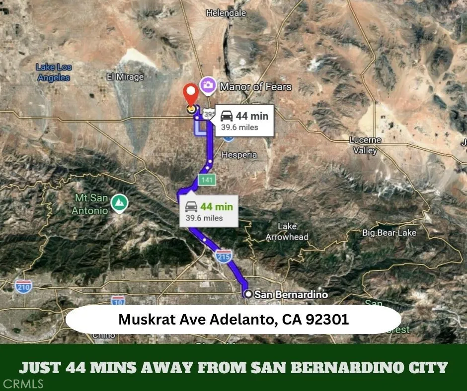 Muskrat Adelanto, CA 92301