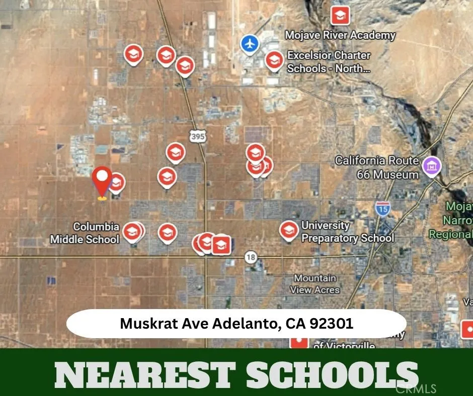 Muskrat Adelanto, CA 92301