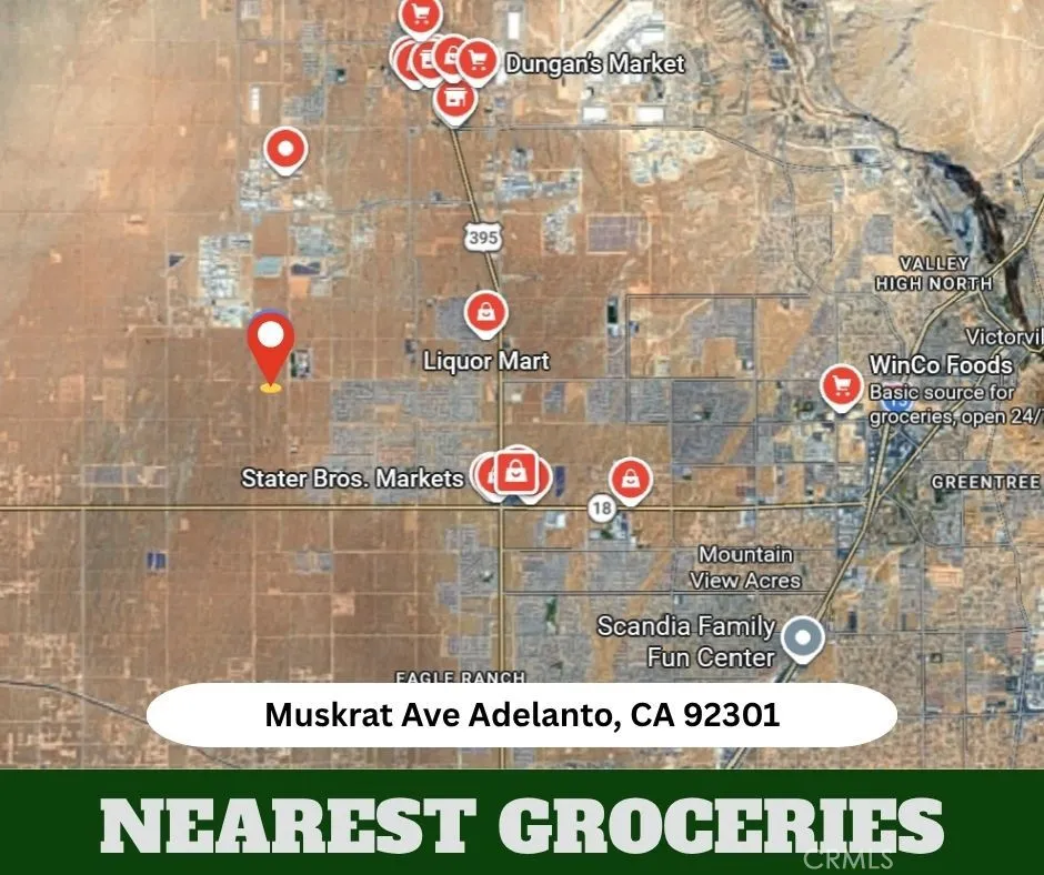 Muskrat Adelanto, CA 92301