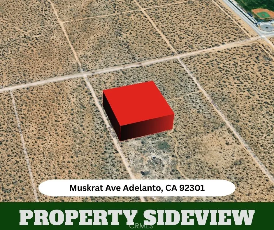 Muskrat Adelanto, CA 92301