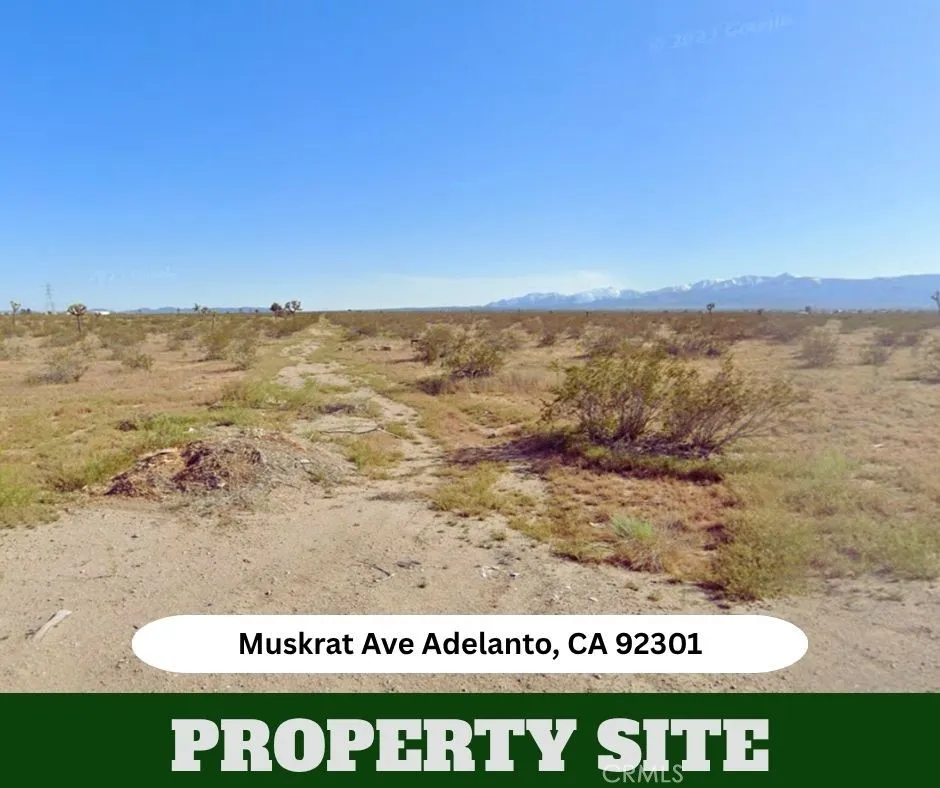 Muskrat Adelanto, CA 92301