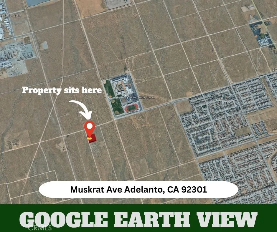 Muskrat Adelanto, CA 92301