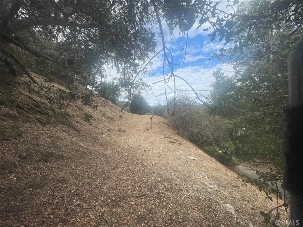 3500 Old Topanga Canyon Road Calabasas, CA 90290