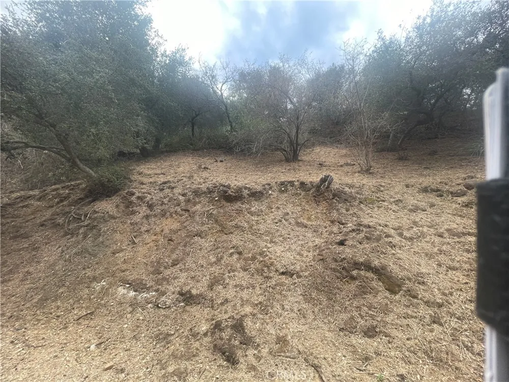 3500 Old Topanga Canyon Road Calabasas, CA 90290