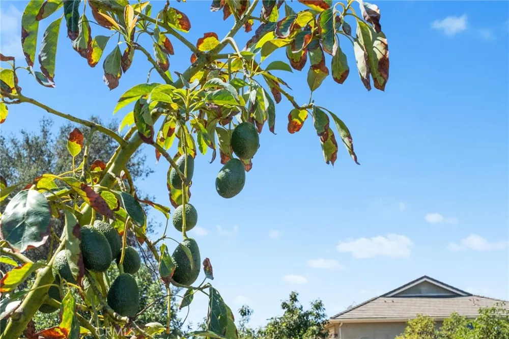 24135 Mirasol Way Temecula, CA 92590