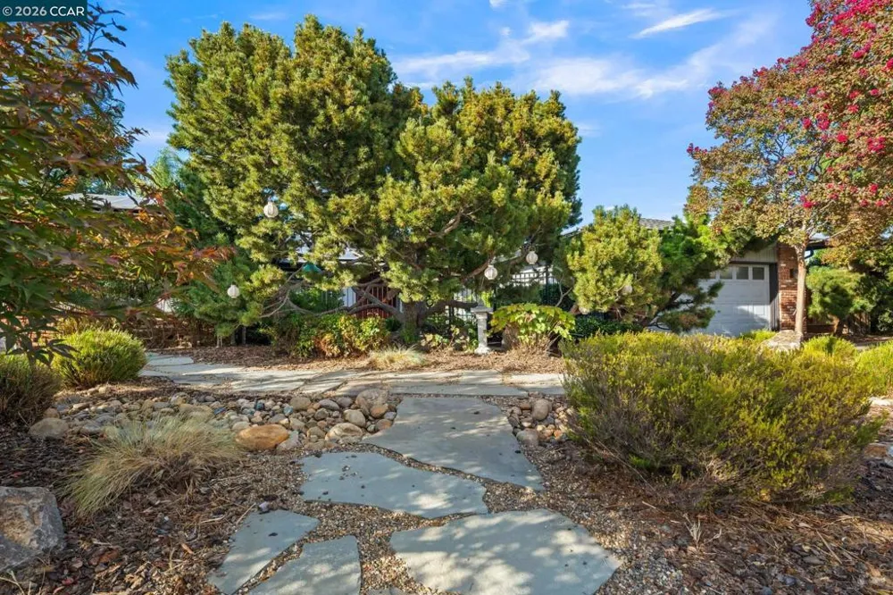 5849 Mitchell Canyon Ct Clayton, CA 94517