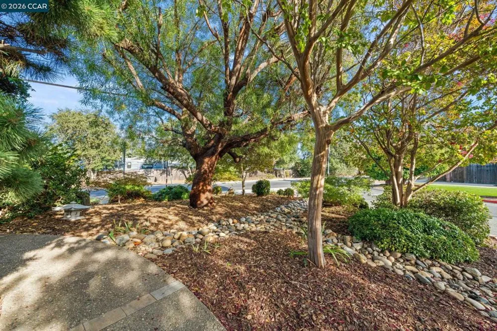 5849 Mitchell Canyon Ct Clayton, CA 94517