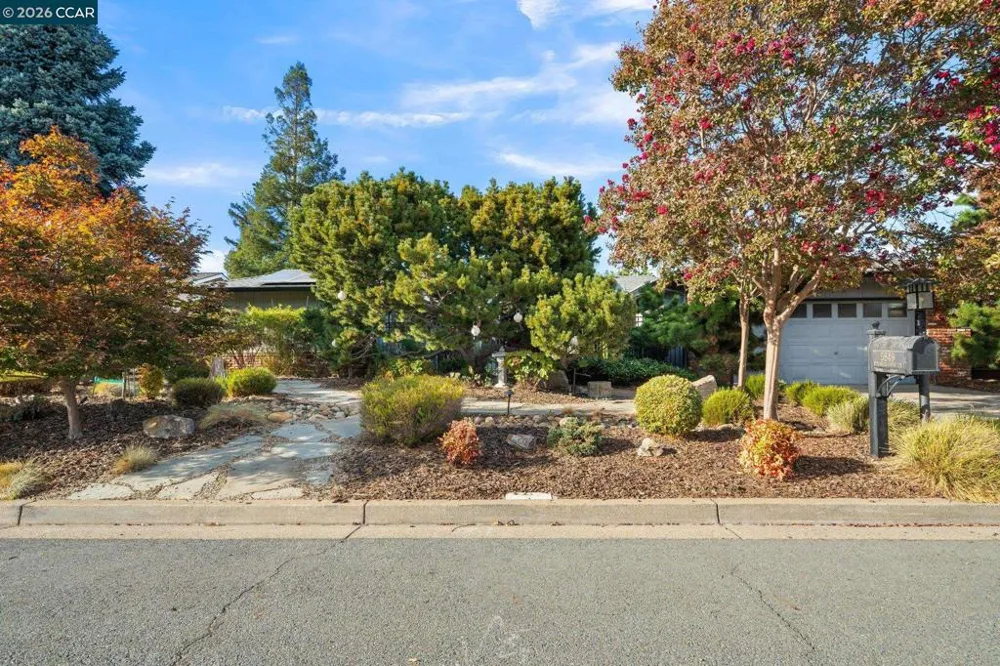 5849 Mitchell Canyon Ct Clayton, CA 94517
