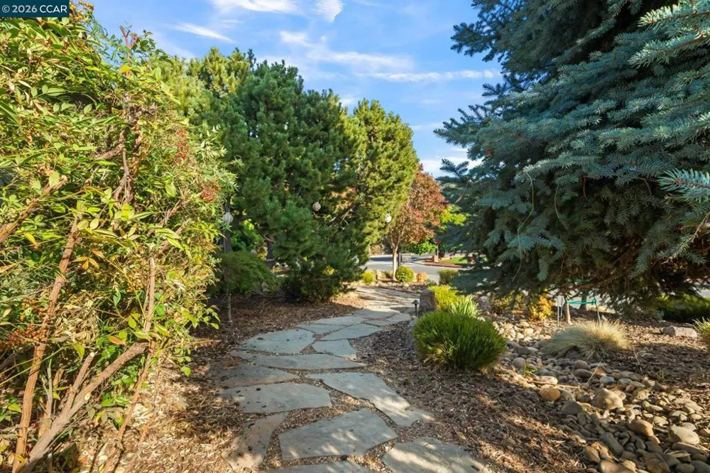 5849 Mitchell Canyon Ct Clayton, CA 94517
