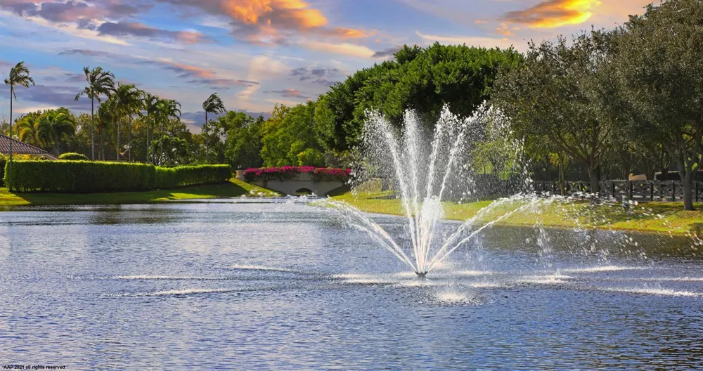 14239 Calypso Lane Wellington, FL 33414