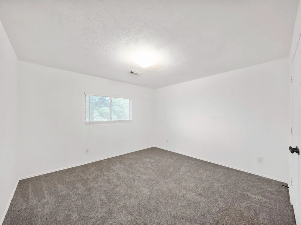 1011 Backland Court Spring, TX 77373
