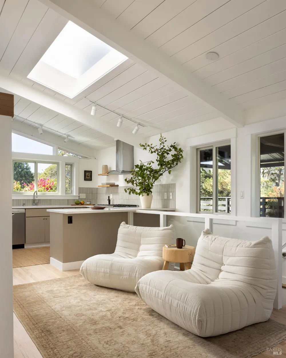 214 Cleveland Court Mill Valley, CA 94941